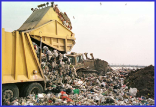 Worldwide 40% of all food produced is wasted - in North America at the consumer level, in the third world - losses in storage and transportation.